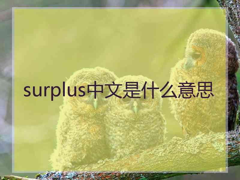 surplus中文是什么意思 surplus中文是什么意思
