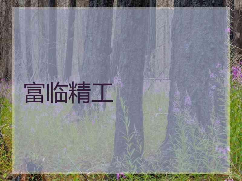 富临精工 富临精工