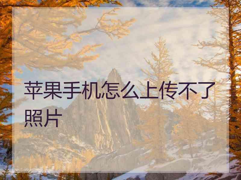 苹果手机怎么上传不了照片 苹果手机怎么上传不了照片