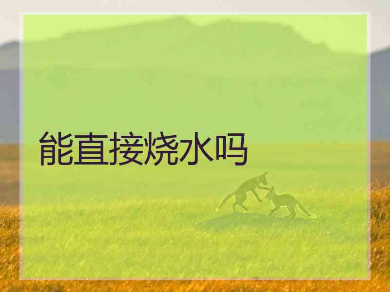 能直接烧水吗 能直接烧水吗
