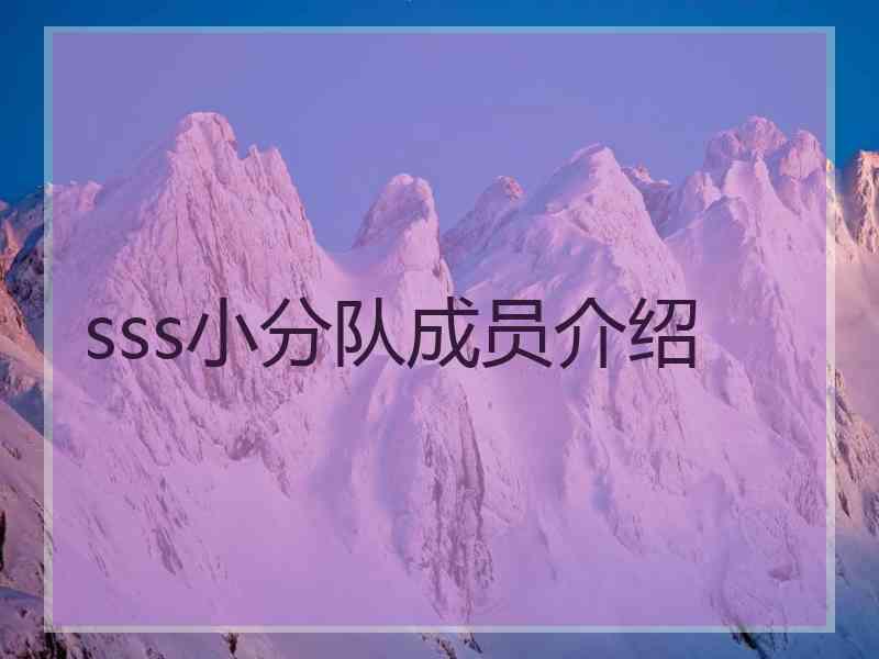 sss小分队成员介绍 sss小分队成员介绍