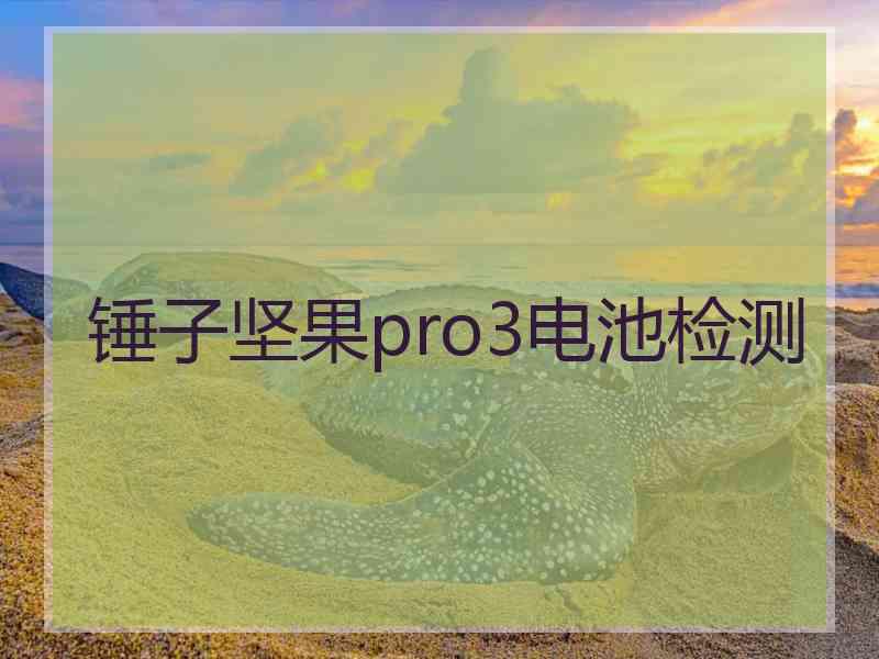 锤子坚果pro3电池检测 锤子坚果pro3电池检测