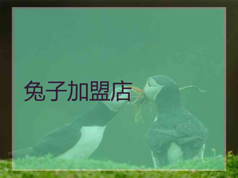 兔子加盟店 兔子加盟店