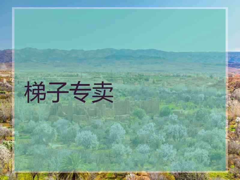 梯子专卖 梯子专卖