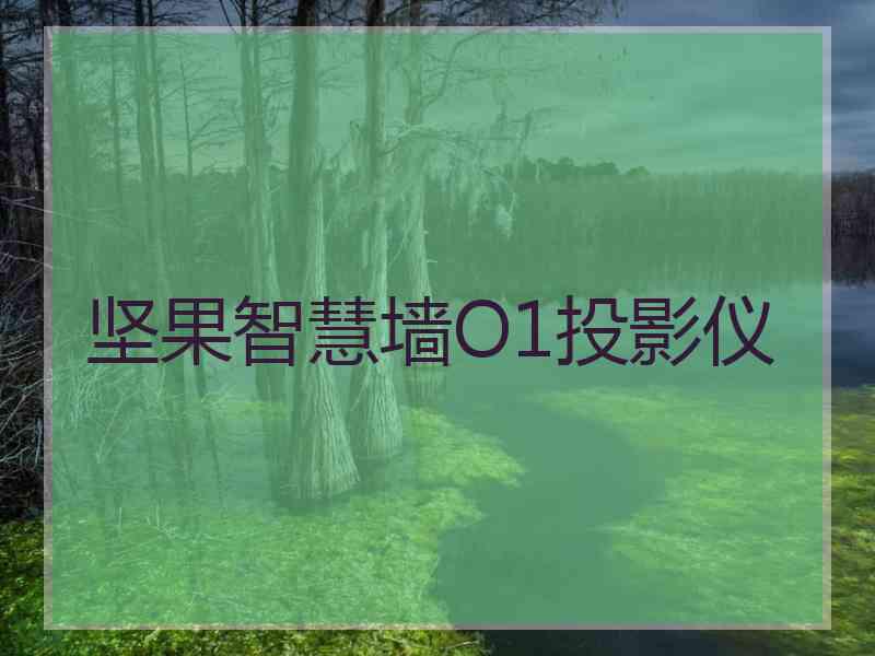 坚果智慧墙O1投影仪 坚果智慧墙O1投影仪