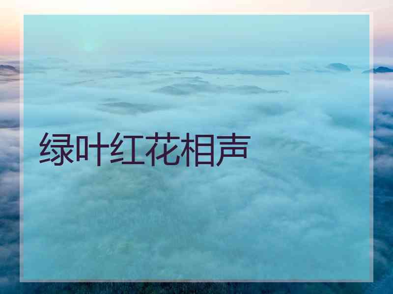 绿叶红花相声 绿叶红花相声