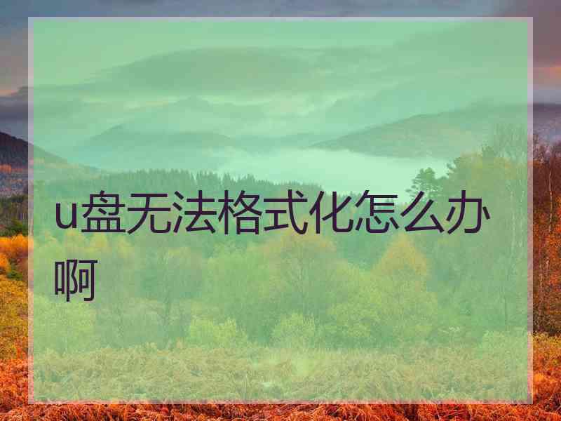 u盘无法格式化怎么办啊 u盘无法格式化怎么办啊