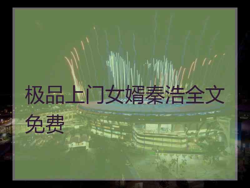 极品上门女婿秦浩全文免费 极品上门女婿秦浩全文免费