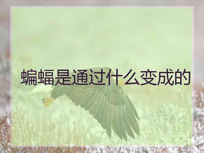 蝙蝠是通过什么变成的 蝙蝠是通过什么变成的