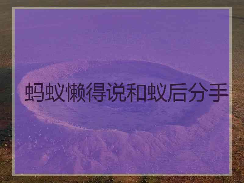 蚂蚁懒得说和蚁后分手 蚂蚁懒得说和蚁后分手