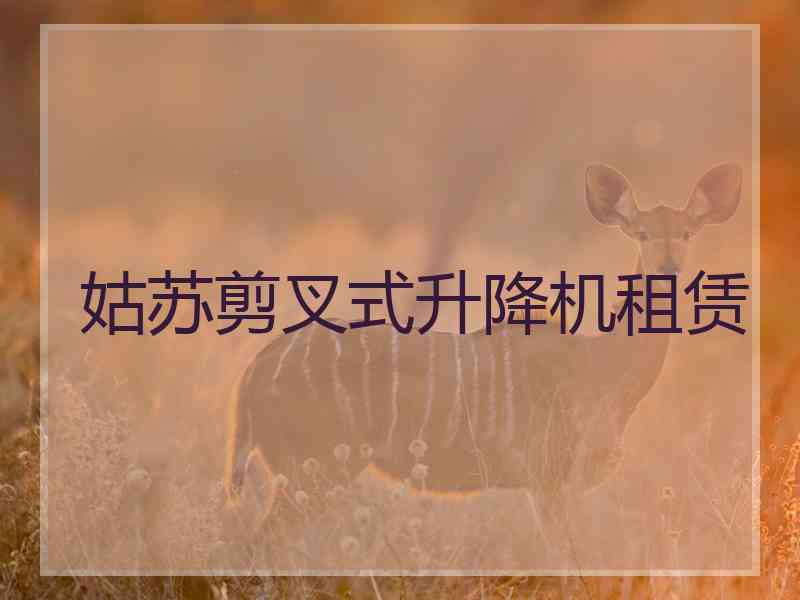 姑苏剪叉式升降机租赁 姑苏剪叉式升降机租赁