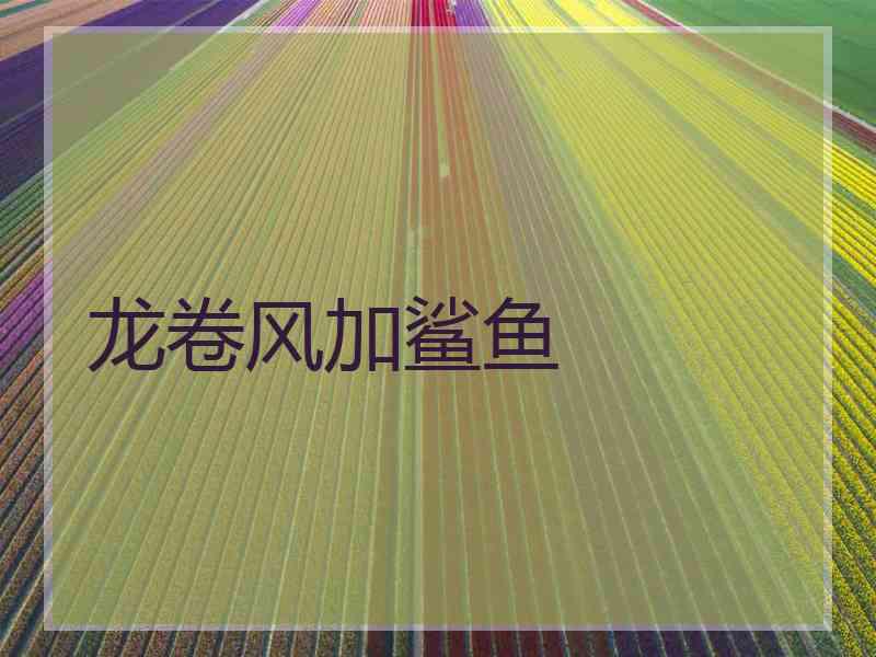 龙卷风加鲨鱼 龙卷风加鲨鱼