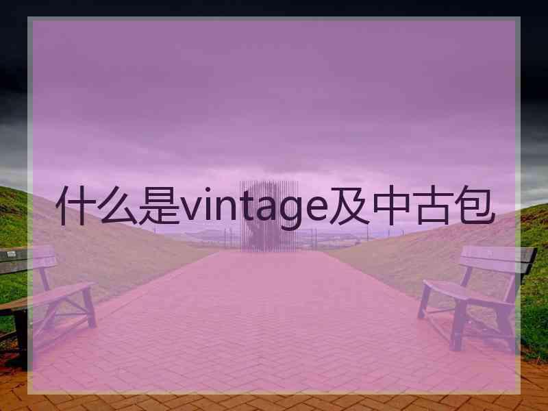 什么是vintage及中古包 什么是vintage及中古包
