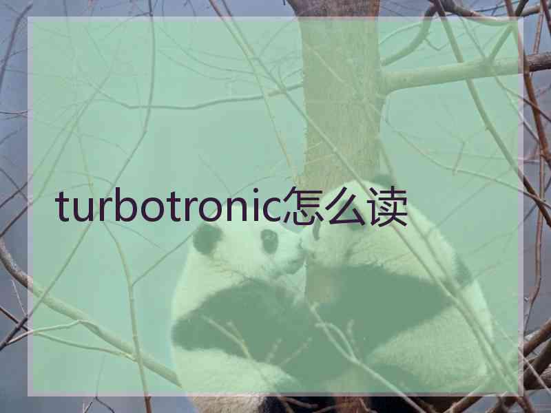 turbotronic怎么读 turbotronic怎么读