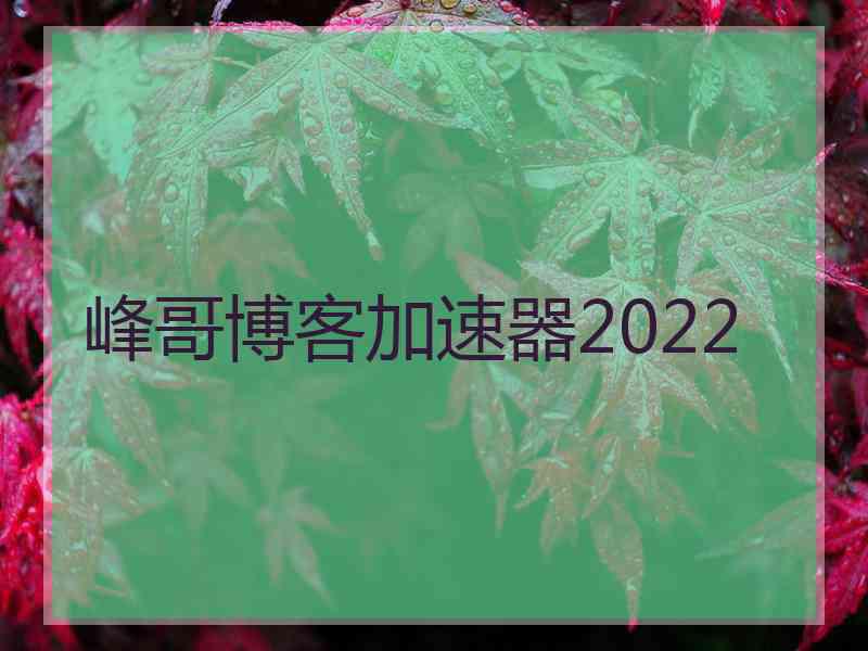 峰哥博客加速器2022 峰哥博客加速器2022
