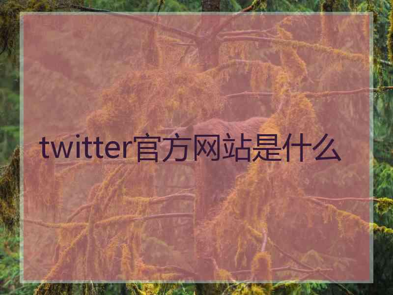twitter官方网站是什么 twitter官方网站是什么