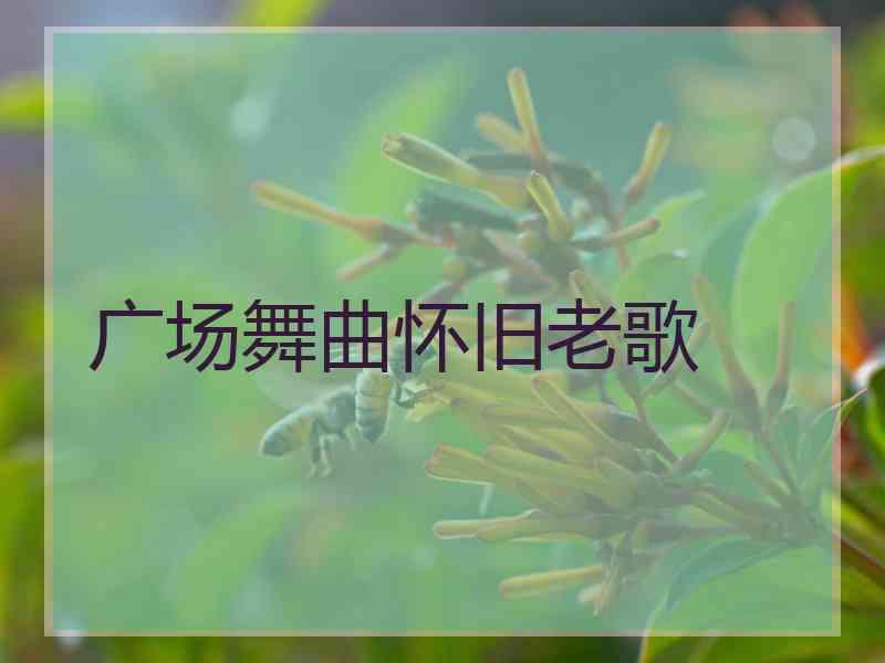 广场舞曲怀旧老歌 广场舞曲怀旧老歌