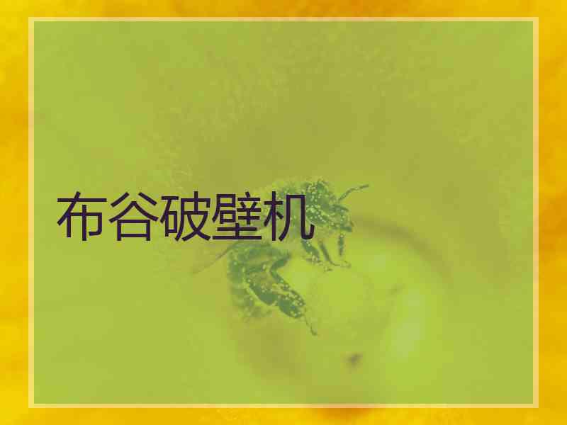 布谷破壁机 布谷破壁机