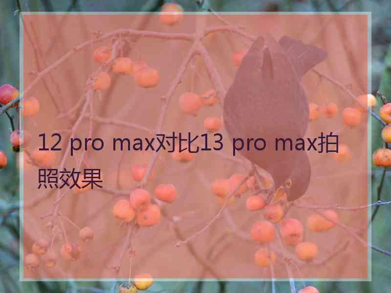 12 pro max对比13 pro max拍照效果 12 pro max对比13 pro max拍照效果
