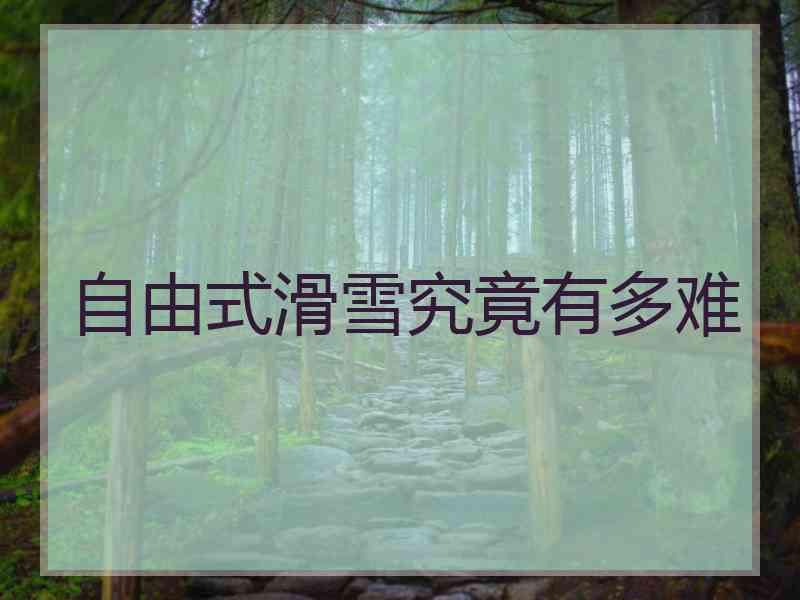 自由式滑雪究竟有多难 自由式滑雪究竟有多难