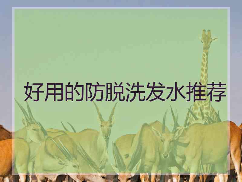 好用的防脱洗发水推荐 好用的防脱洗发水推荐