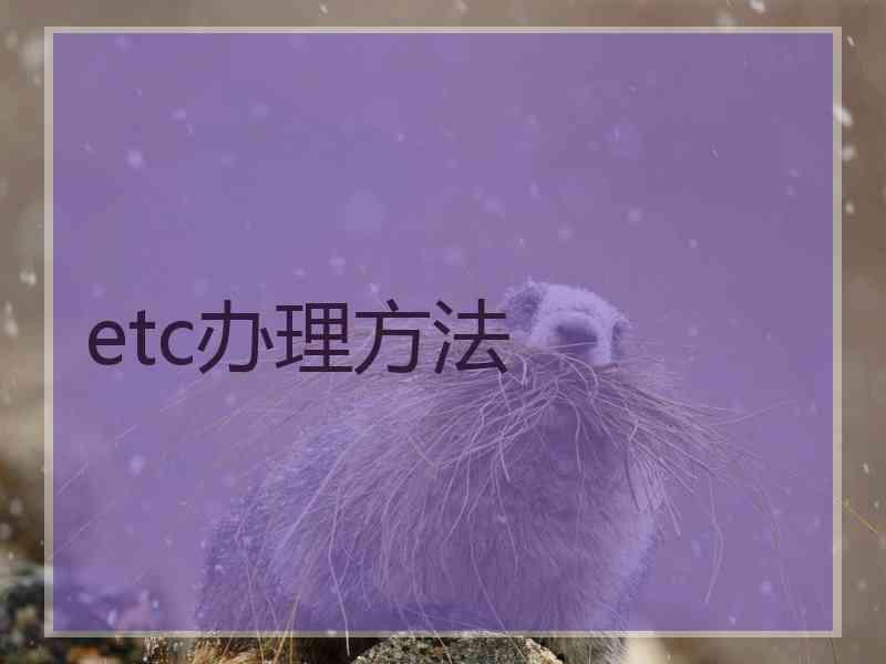 etc办理方法 etc办理方法