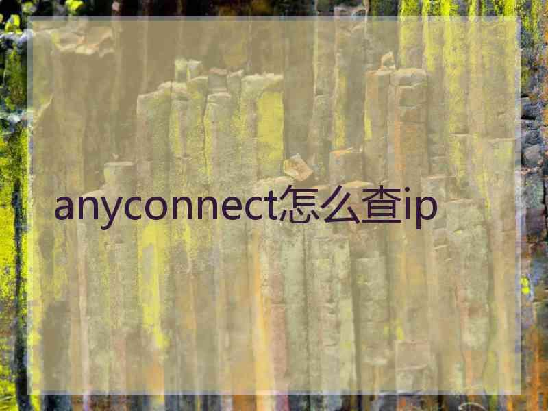 anyconnect怎么查ip anyconnect怎么查ip