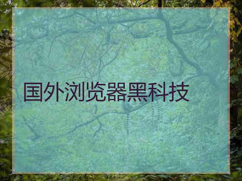 国外浏览器黑科技 国外浏览器黑科技