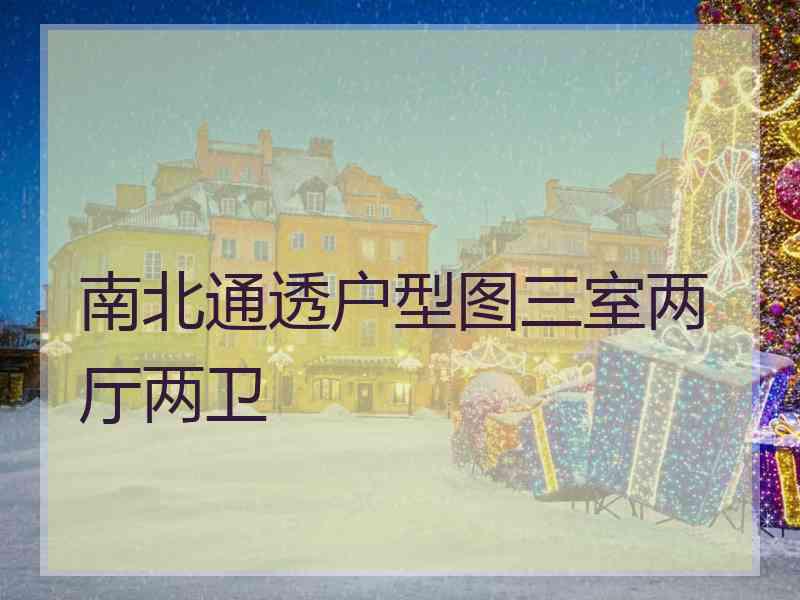 南北通透户型图三室两厅两卫 南北通透户型图三室两厅两卫