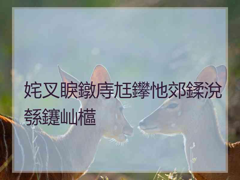 姹叉睙鐓庤尪鑻忚郊鍒涗綔鑳屾櫙 姹叉睙鐓庤尪鑻忚郊鍒涗綔鑳屾櫙