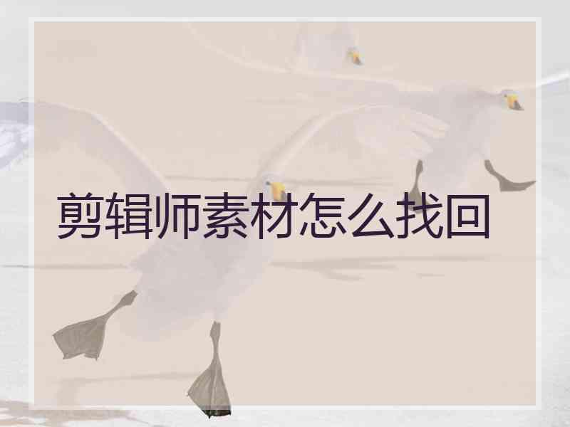 剪辑师素材怎么找回 剪辑师素材怎么找回