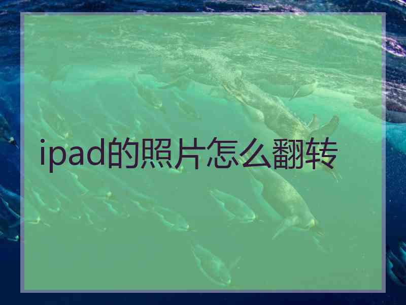 ipad的照片怎么翻转 ipad的照片怎么翻转