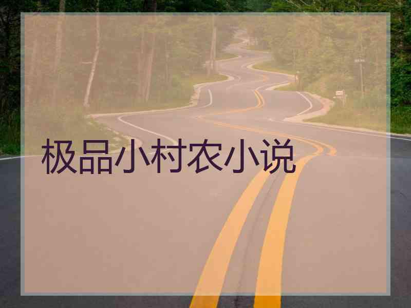 极品小村农小说 极品小村农小说