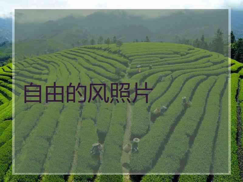 自由的风照片 自由的风照片