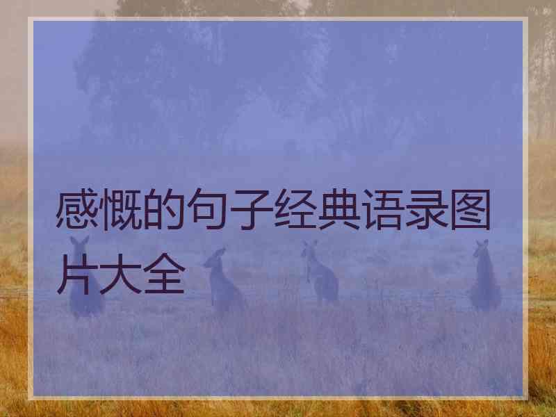 感慨的句子经典语录图片大全 感慨的句子经典语录图片大全