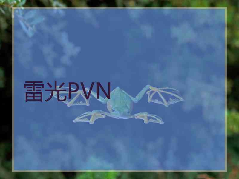 雷光PVN 雷光PVN