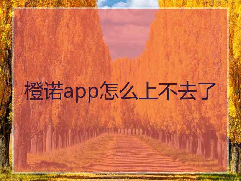 橙诺app怎么上不去了 橙诺app怎么上不去了