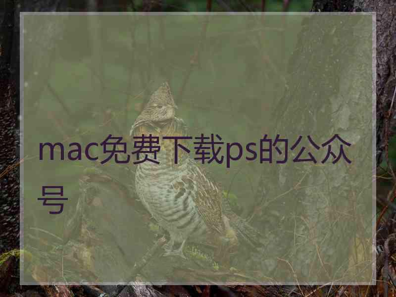 mac免费下载ps的公众号 mac免费下载ps的公众号