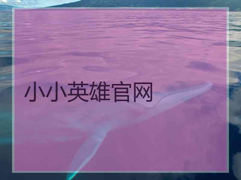 小小英雄官网 小小英雄官网