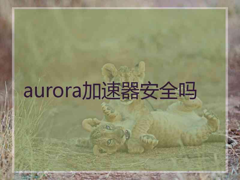 aurora加速器安全吗 aurora加速器安全吗