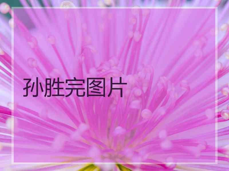 孙胜完图片 孙胜完图片