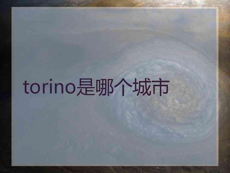 torino是哪个城市 torino是哪个城市