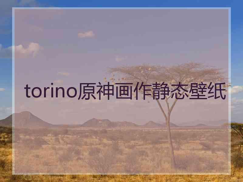 torino原神画作静态壁纸 torino原神画作静态壁纸