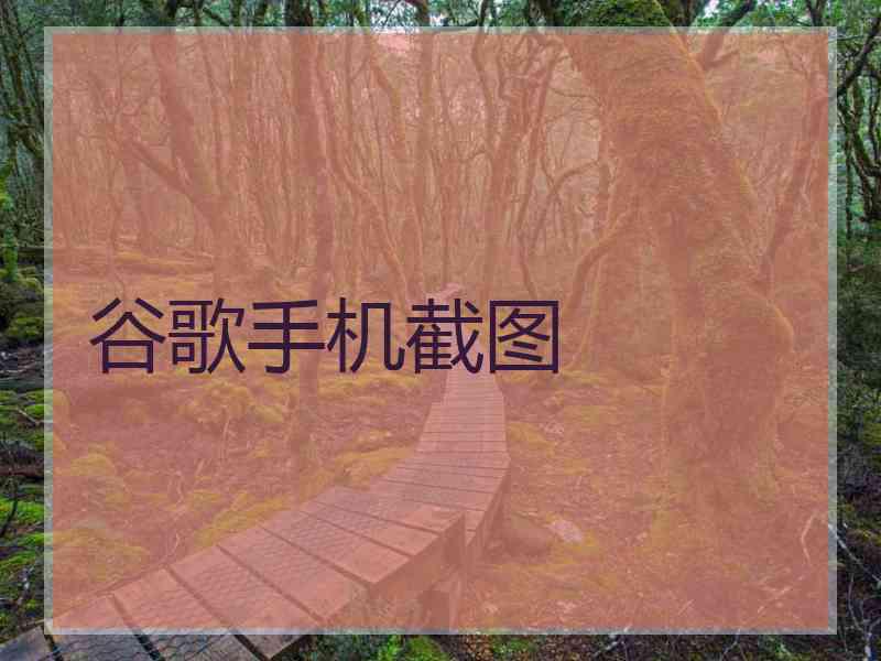 谷歌手机截图 谷歌手机截图