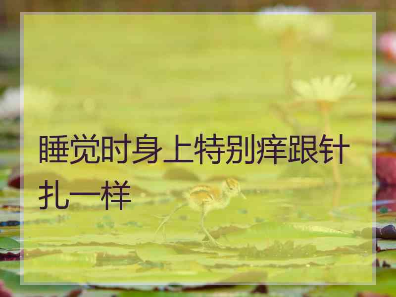 睡觉时身上特别痒跟针扎一样 睡觉时身上特别痒跟针扎一样