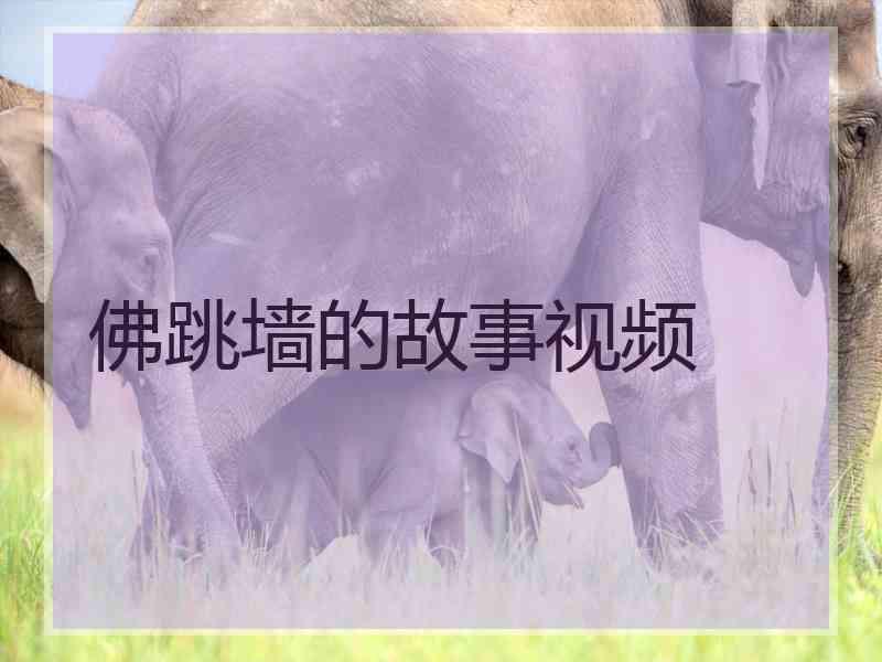 佛跳墙的故事视频 佛跳墙的故事视频