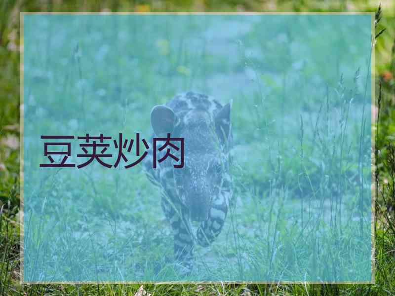 豆荚炒肉 豆荚炒肉