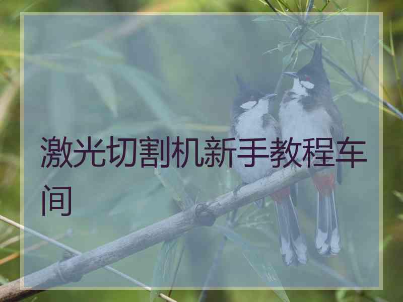 激光切割机新手教程车间 激光切割机新手教程车间