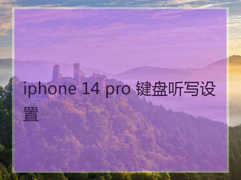 iphone 14 pro 键盘听写设置 iphone 14 pro 键盘听写设置
