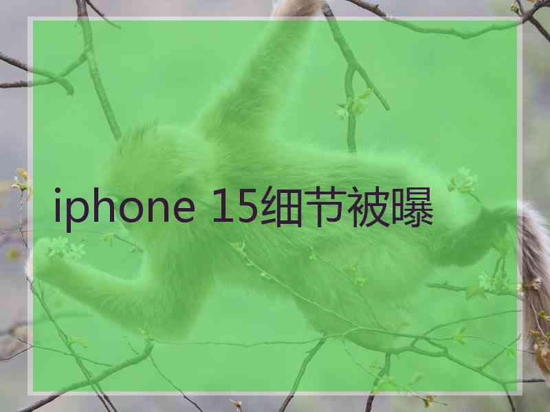 iphone 15细节被曝 iphone 15细节被曝